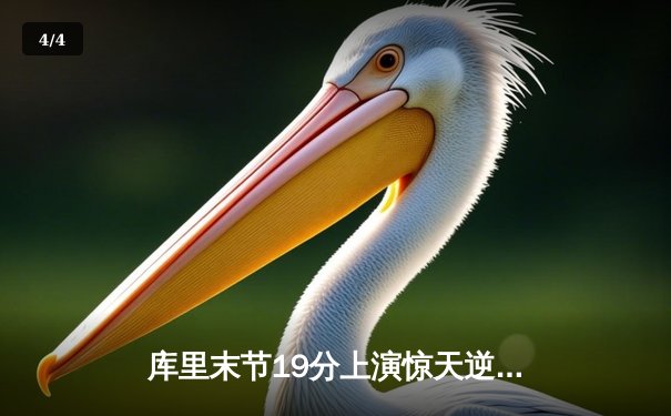 库里末节19分上演惊天逆转 勇士加时险胜国王取赛季关键战 - 4